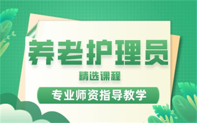 2024年度十大養老護工培訓機構綜合排名與服務解析